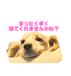 便利なモカくんスタンプ1（個別スタンプ：1）