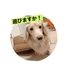 便利なモカくんスタンプ1（個別スタンプ：5）