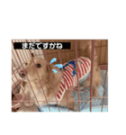 便利なモカくんスタンプ1（個別スタンプ：8）