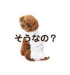 GemmaKikiPippi Lovely Stamps 202105（個別スタンプ：2）