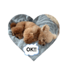 GemmaKikiPippi Lovely Stamps 202105（個別スタンプ：6）