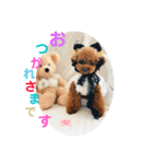GemmaKikiPippi Lovely Stamps 202105（個別スタンプ：8）