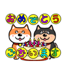 敬語バージョンマイペースな柴犬（個別スタンプ：1）