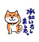 敬語バージョンマイペースな柴犬（個別スタンプ：8）