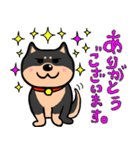 敬語バージョンマイペースな柴犬（個別スタンプ：13）