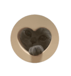 ねこのこはくちゃん（個別スタンプ：13）