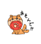 限界柴犬（個別スタンプ：31）