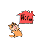 限界柴犬（個別スタンプ：33）