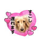 ちくわちゃんと仲間たち（個別スタンプ：10）