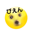 ちくわちゃんと仲間たち（個別スタンプ：14）