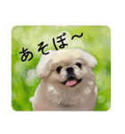 ちくわちゃんと仲間たち（個別スタンプ：19）