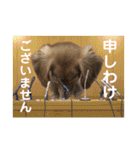 ちくわちゃんと仲間たち（個別スタンプ：21）