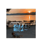 ダックスとたまに柴犬。（個別スタンプ：2）
