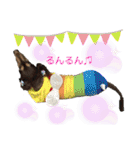 ダックスとたまに柴犬。（個別スタンプ：9）