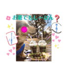 ダックスとたまに柴犬。（個別スタンプ：17）