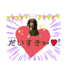 ダックスとたまに柴犬。（個別スタンプ：31）