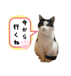 きっぺい24②（個別スタンプ：1）