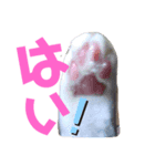 きっぺい24②（個別スタンプ：2）