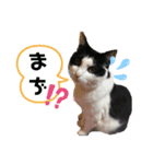 きっぺい24②（個別スタンプ：4）