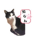 きっぺい24②（個別スタンプ：5）