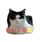 きっぺい24②（個別スタンプ：7）