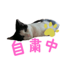 きっぺい24②（個別スタンプ：8）