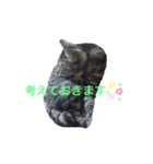 ねこさんと一緒♡（個別スタンプ：4）