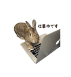 うさぎの、ぴょんきち そのにっ（個別スタンプ：9）