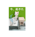 ぶたぶたくんとぶたぶたちゃんの生活②（個別スタンプ：2）