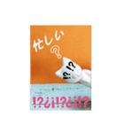 ぶたぶたくんとぶたぶたちゃんの生活②（個別スタンプ：9）