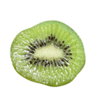 キウイフルーツ Kiwi fruit（個別スタンプ：1）