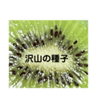 キウイフルーツ Kiwi fruit（個別スタンプ：4）