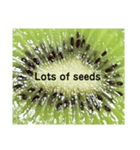 キウイフルーツ Kiwi fruit（個別スタンプ：5）