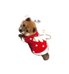 ココちゃん‪‪❤️（個別スタンプ：2）