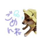 ココちゃん‪‪❤️（個別スタンプ：4）