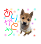 ココちゃん‪‪❤️（個別スタンプ：8）