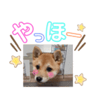 ココちゃん‪‪❤️（個別スタンプ：11）