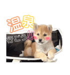 ココちゃん‪‪❤️（個別スタンプ：22）