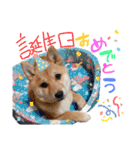 ココちゃん‪‪❤️（個別スタンプ：24）