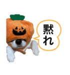 Nicoスタンプ #Part1（個別スタンプ：3）