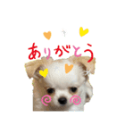 Nicoスタンプ #Part1（個別スタンプ：4）