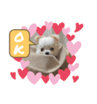 Nicoスタンプ #Part1（個別スタンプ：6）