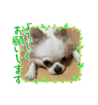 Nicoスタンプ #Part1（個別スタンプ：14）