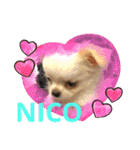 Nicoスタンプ #Part1（個別スタンプ：15）