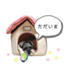 おちゃめなミニシュナ！ vol.3【日常編】（個別スタンプ：3）