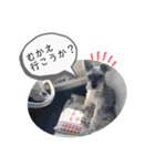 おちゃめなミニシュナ！ vol.3【日常編】（個別スタンプ：8）