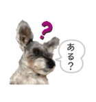 おちゃめなミニシュナ！ vol.3【日常編】（個別スタンプ：26）