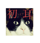 クロおぢさん・2(Monsieur Kulo-2)（個別スタンプ：3）