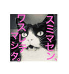 クロおぢさん・2(Monsieur Kulo-2)（個別スタンプ：4）