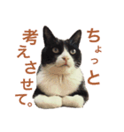 クロおぢさん・2(Monsieur Kulo-2)（個別スタンプ：5）